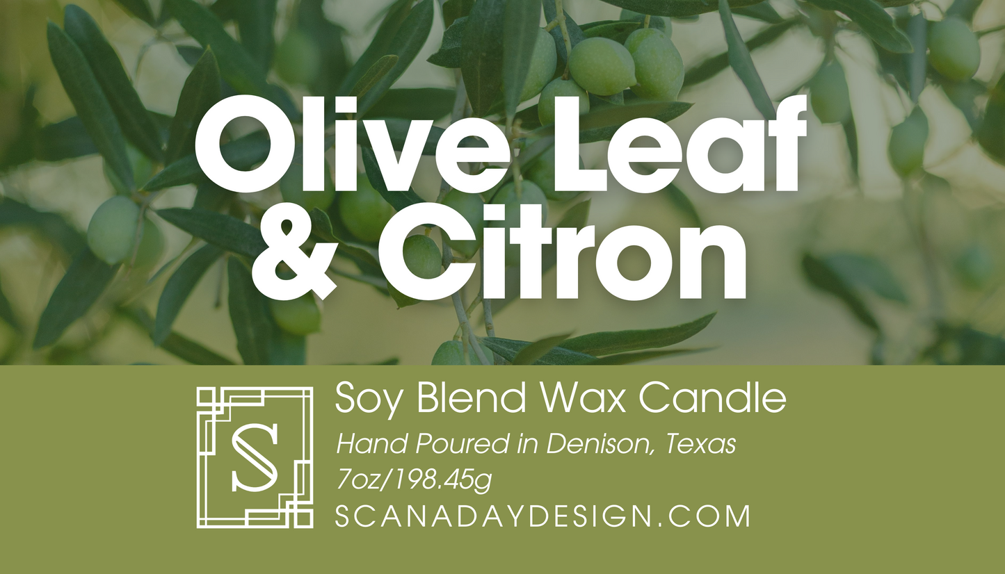 Olive Leaf & Citron | 7oz