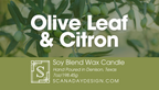 Olive Leaf & Citron | 7oz