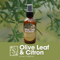 Olive Leaf & Citron | Room & Linen Spray - 4oz