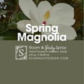 Spring Magnolia